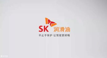图文 SK助力SuperRace打造中日韩文化节